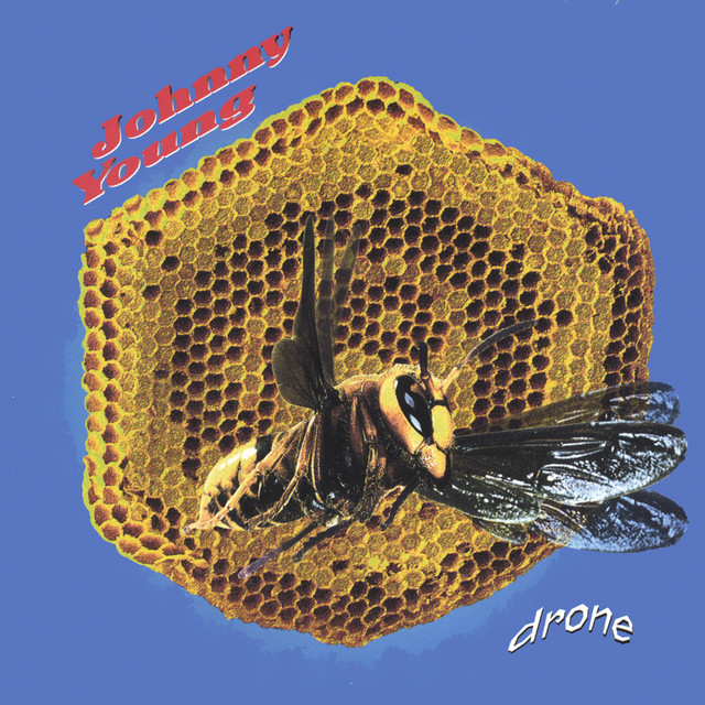 Drone album cover