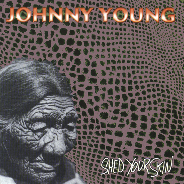 Shed Your Skin album cover