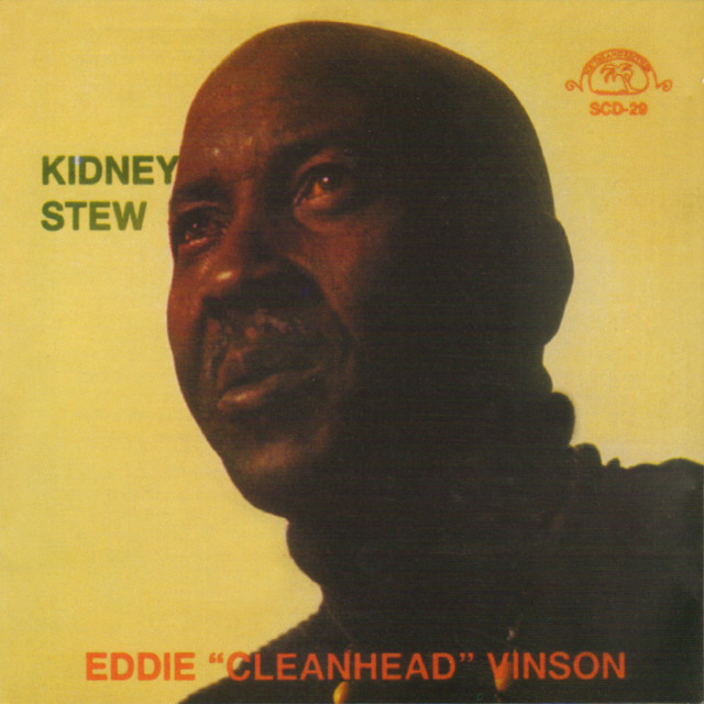 Kidney Stew album cover