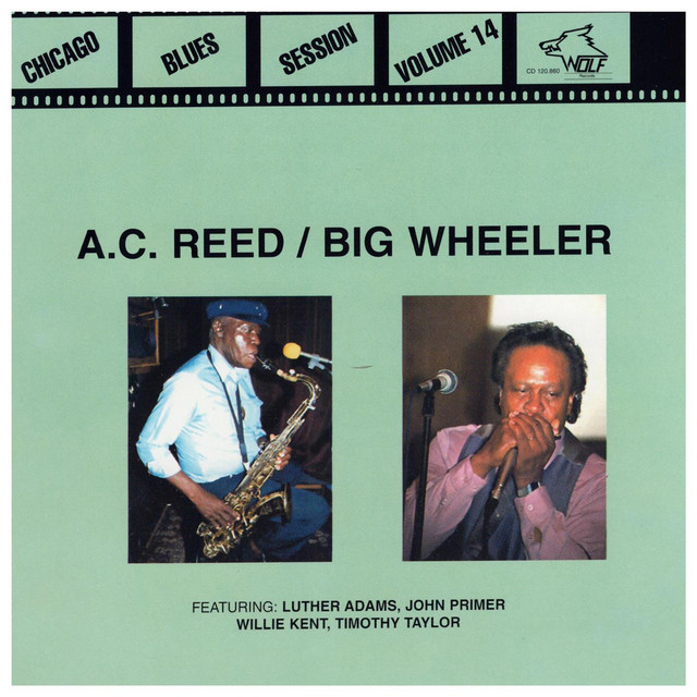 Chicago Blues Session Volume 14 album cover