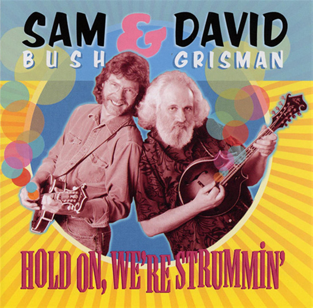 Hold On, We're Strummin' album cover