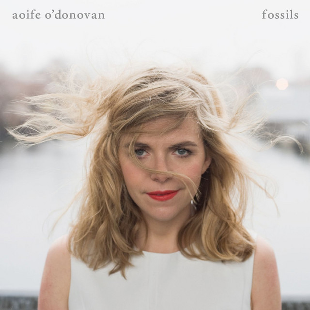 Fossils album cover