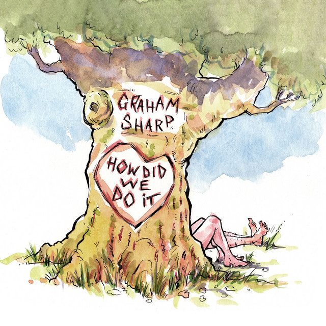 How Did We Do It album cover