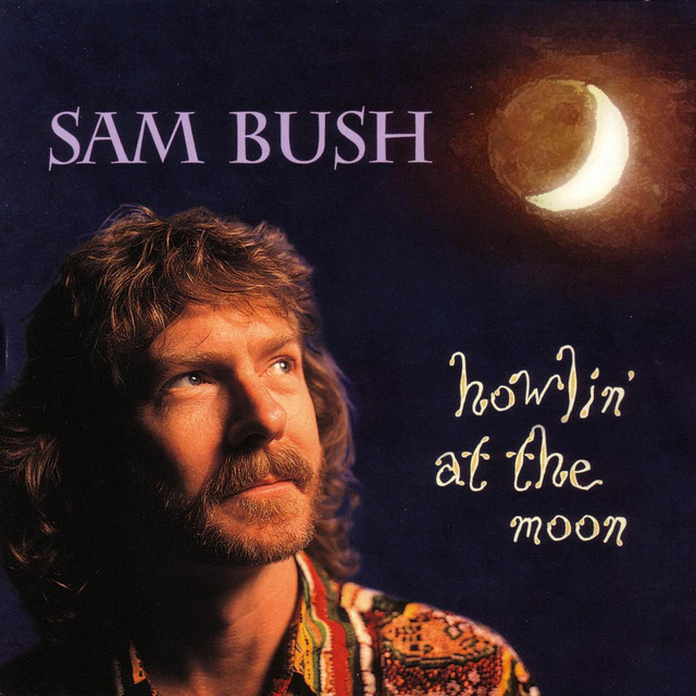 Howlin' At The Moon album cover