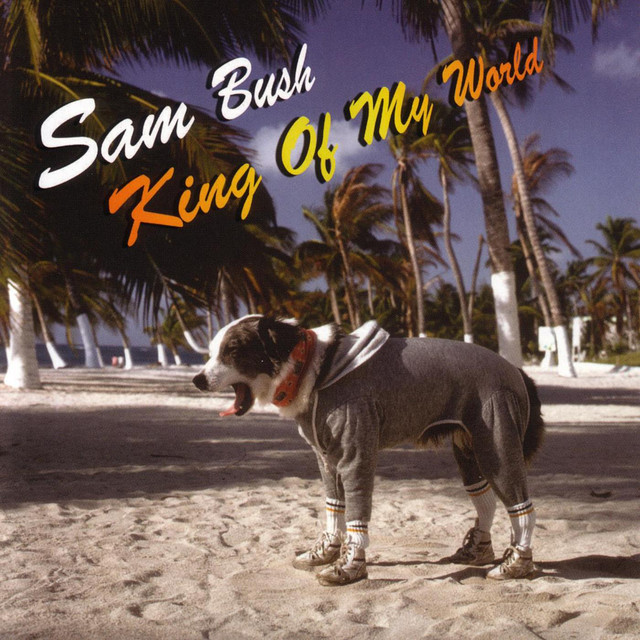 King Of My World album cover