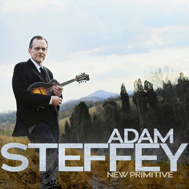 New Primitive album cover