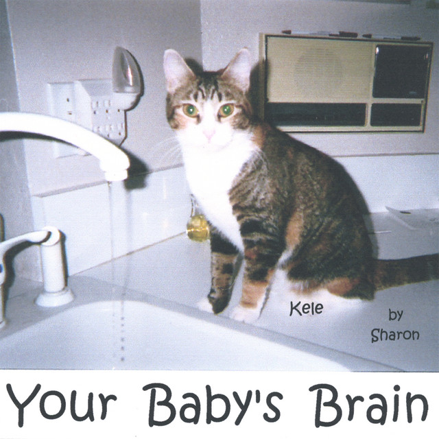 Your Baby's Brain album cover