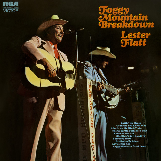 Foggy Mountain Breakdown album cover