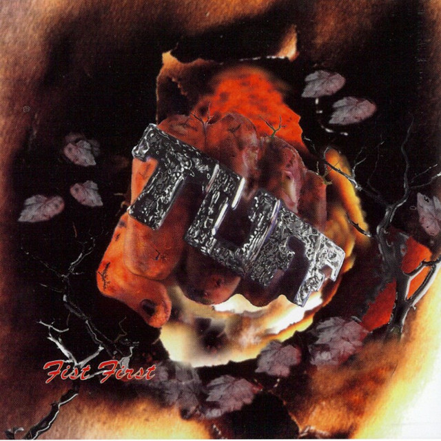 Fist First album cover