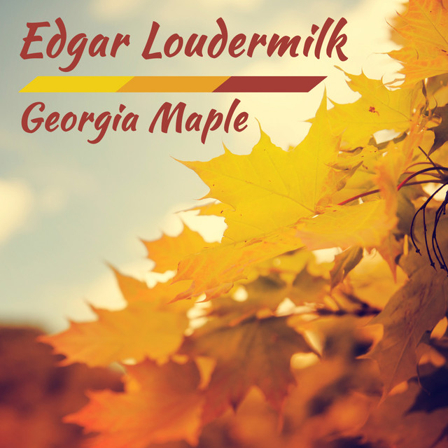 Georgia Maple album cover