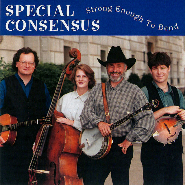 Strong Enough to Bend album cover