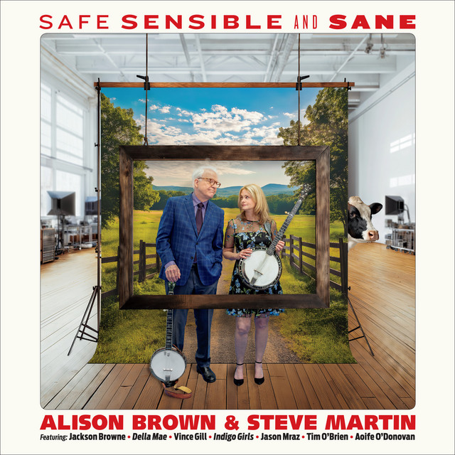 Safe, Sensible And Sane