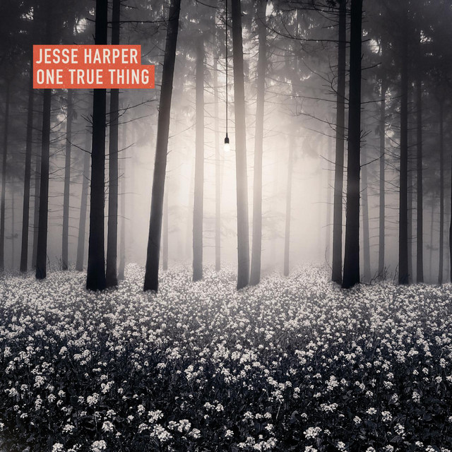 One True Thing album cover