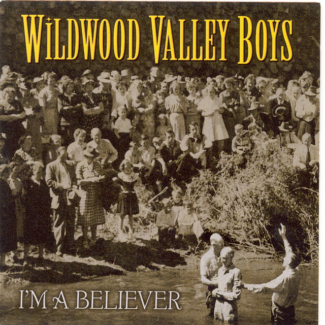 I'm A Believer album cover