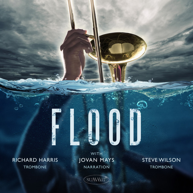 FLOOD album cover