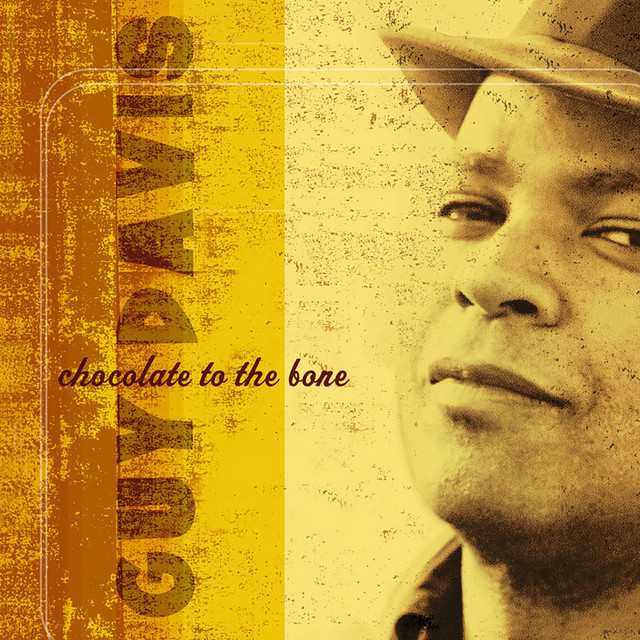 Chocolate To The Bone album cover