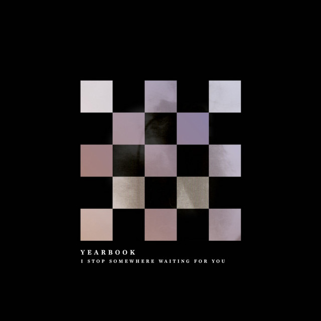 I Stop Somewhere Waiting For You album cover