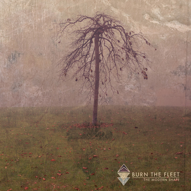The Modern Shape album cover