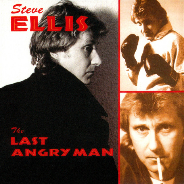 The Last Angry Man album cover