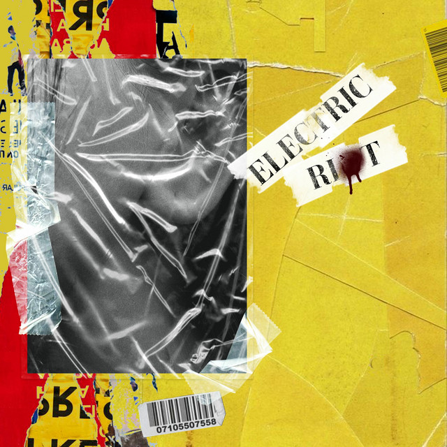 Electric Riot album cover