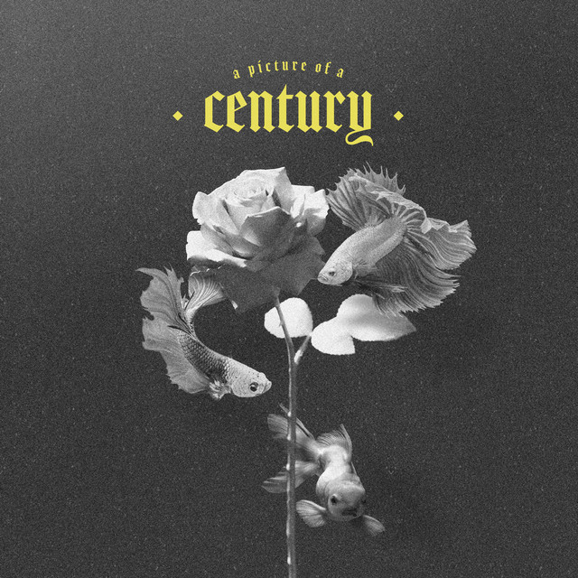 A Picture Of A Century album cover