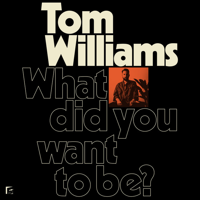 What Did You Want to Be? album cover