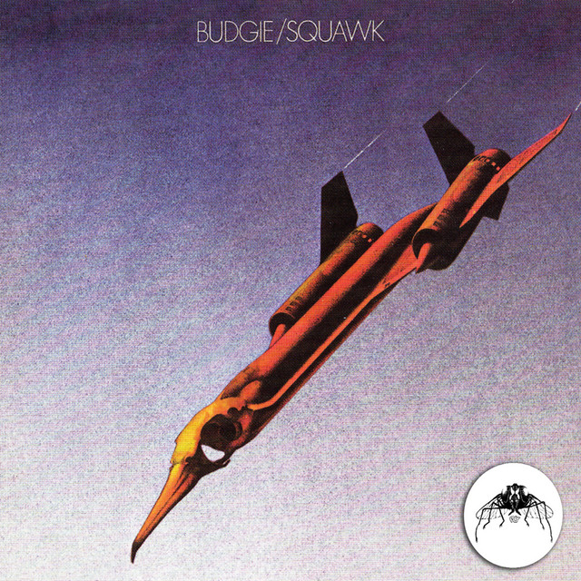 Squawk (2013 Remaster) album cover