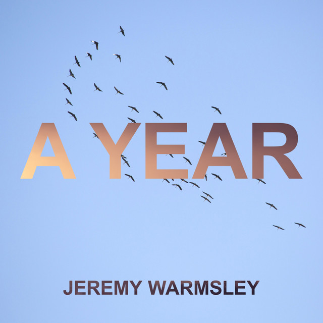 A Year album cover