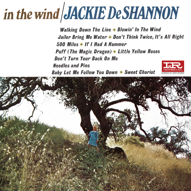 In The Wind album cover