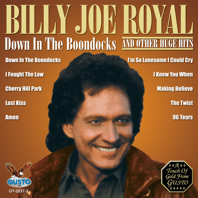 Down In The Boondocks And Other Huge Hits album cover