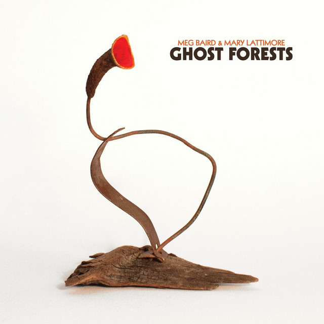 Ghost Forests album cover