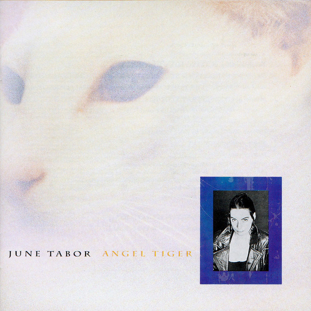 Angel Tiger album cover
