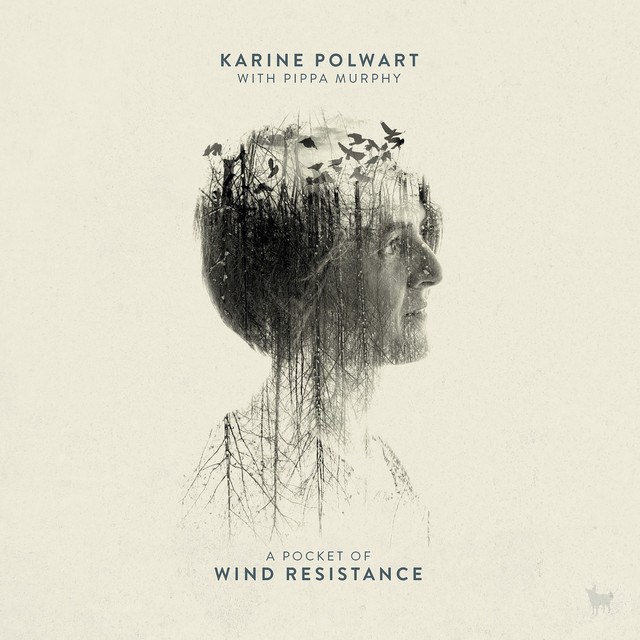 A Pocket of Wind Resistance album cover