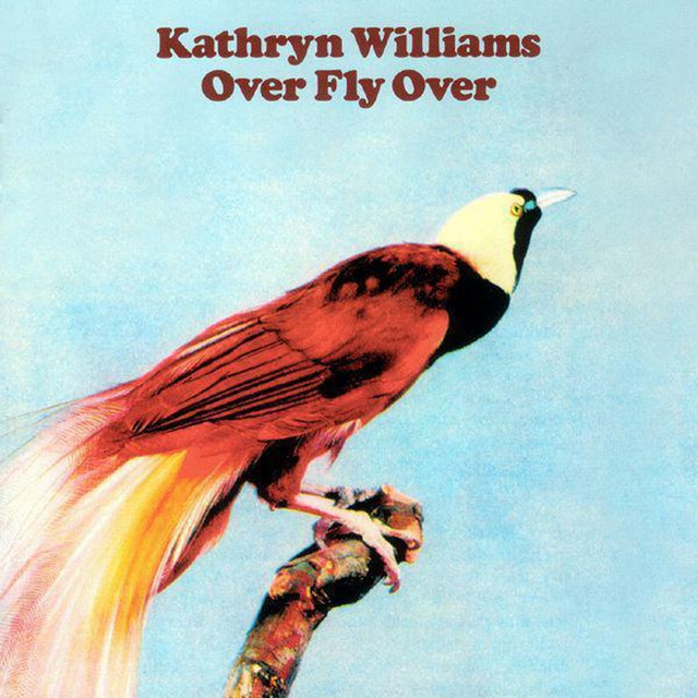 Over Fly Over album cover