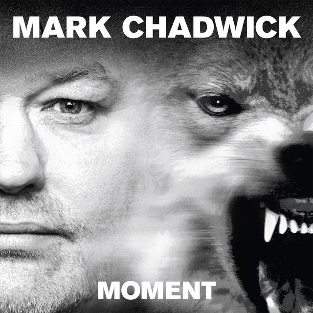 Moment album cover