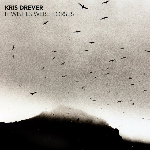 If Wishes Were Horses album cover