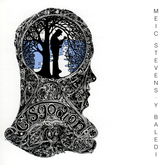Baledi - Dim Ond Cysgodion album cover