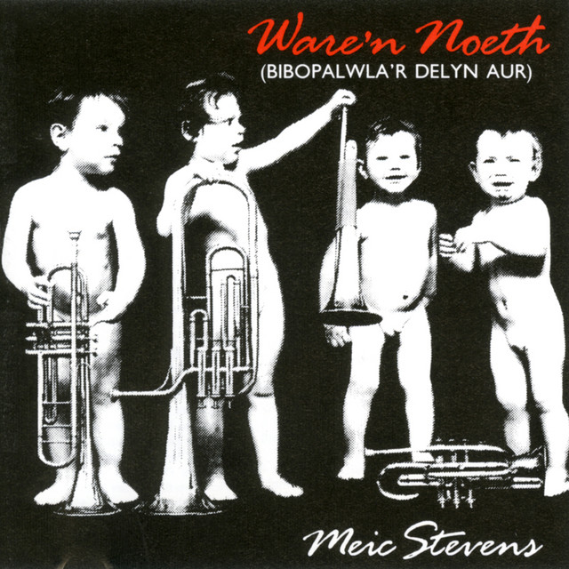 Ware'N Noeth (Bibopalwla'R Delyn Aur) album cover