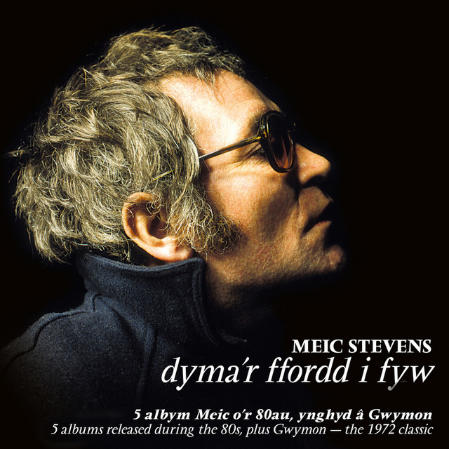 Disgwyl Rhywbeth Gwell I Ddod - 2 album cover