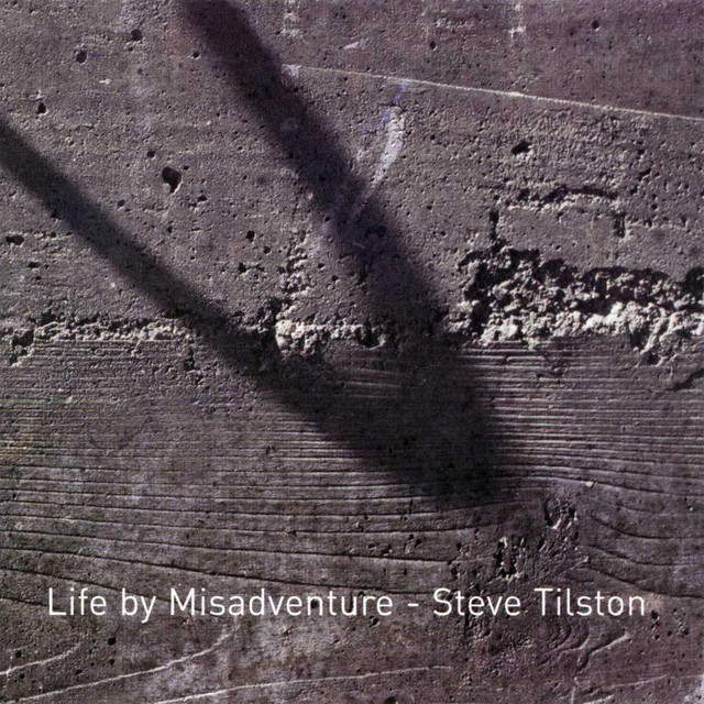 Life By Misadventure album cover