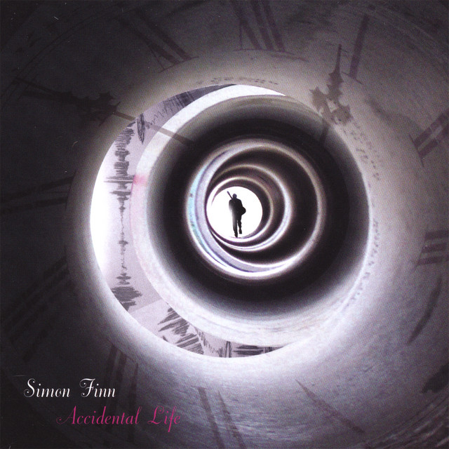 Accidental Life album cover