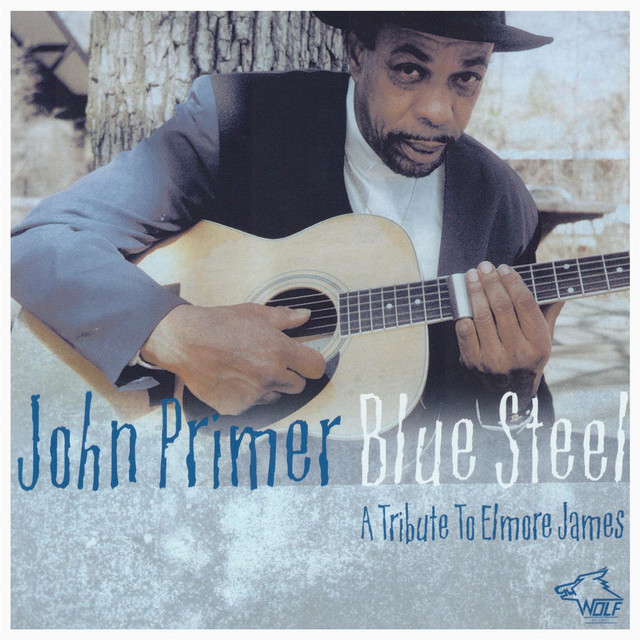 Blue Steel: A Tribute To Elmore James album cover