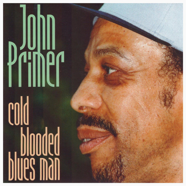 Cold Blooded Blues Man album cover