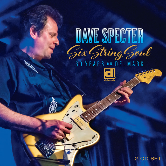 Six String Soul: 30 Years on Delmark album cover