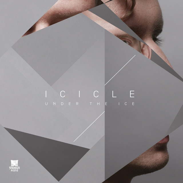 Under the Ice album cover