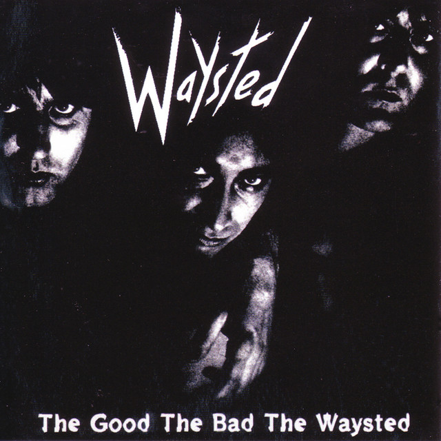The Good The Bad The Waysted album cover