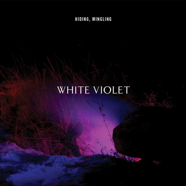 HIDING, MINGLING album cover