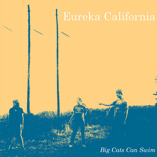 Big Cats Can Swim album cover