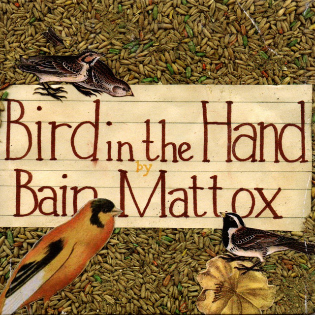 Bird in the Hand album cover