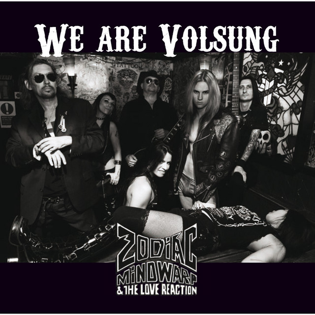 We Are Volsung album cover